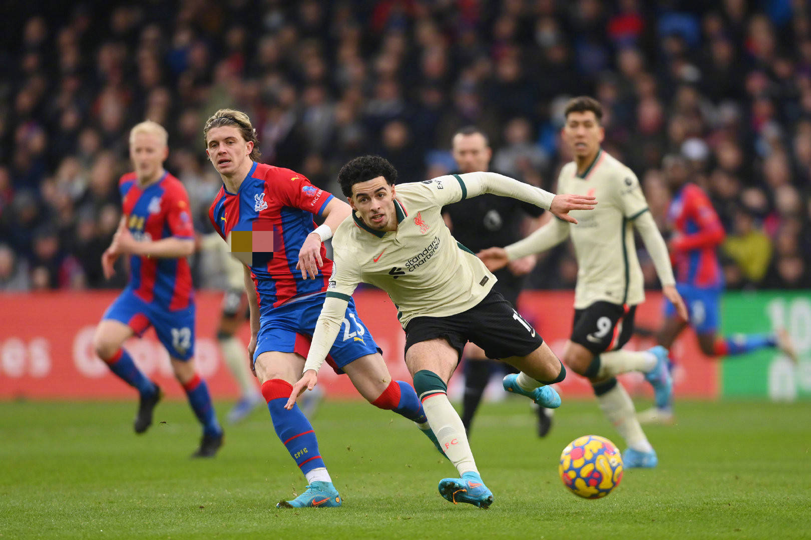 引人注目 引人注目