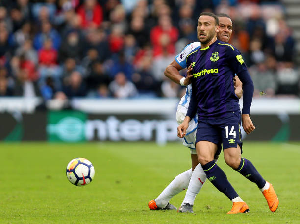 添了新的亮 添了新的亮